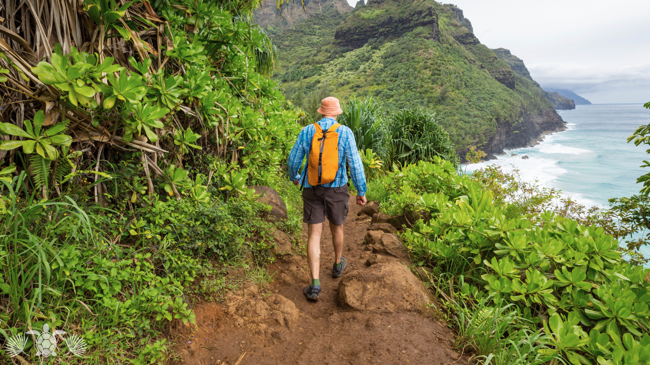 Outdoor Activities in Kailua-Kona - Hiking with Ocean Views - Big Island Real Estate - Kona Realtor, Soraya Letournel Outdoor Activities in Kailua-Kona - Hiking with Ocean Views