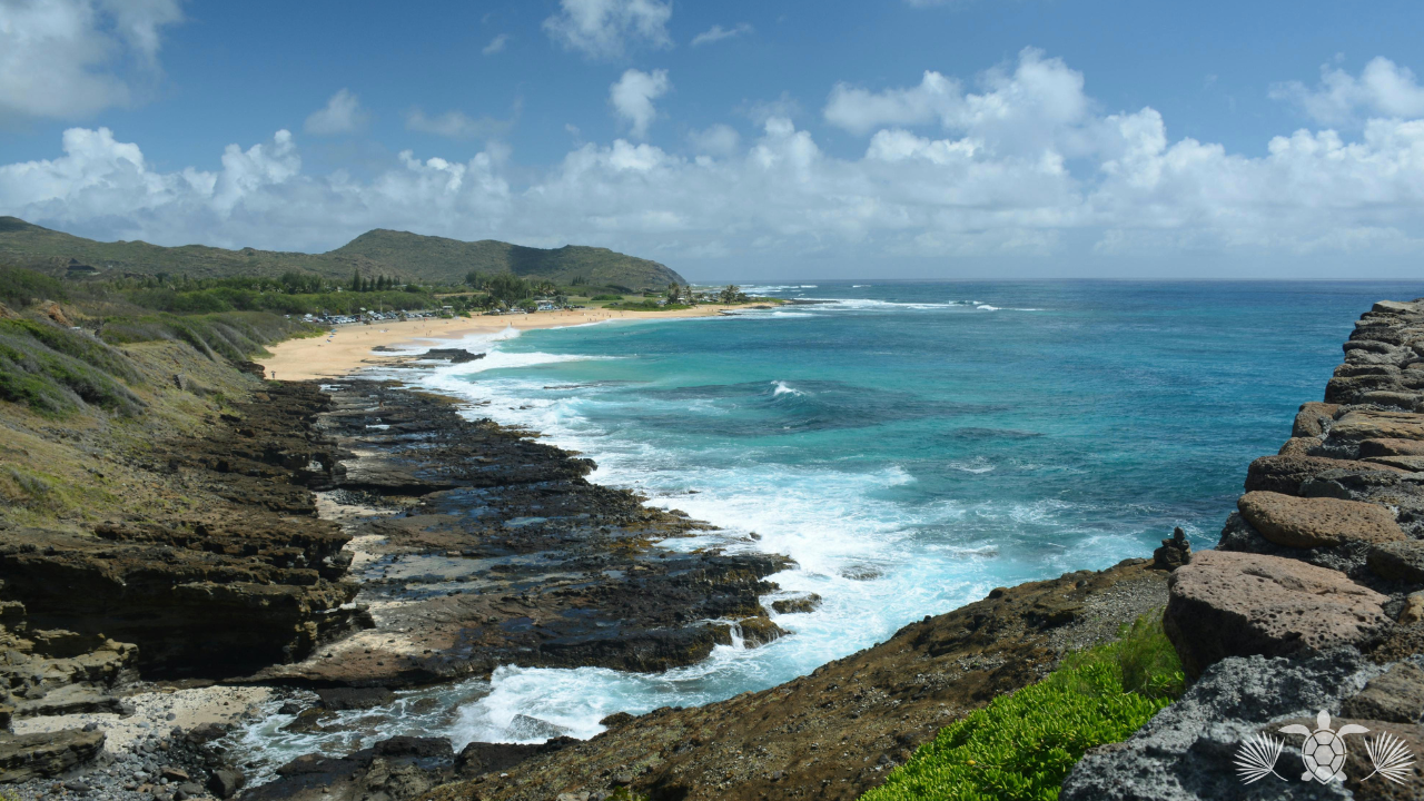 Big Island Real Estate Market Update - Big Island Real Estate - Kona Realtor, Soraya Letournel Coastal cliff with rocky shoreline, turquoise ocean, and sandy beach under a blue sky.